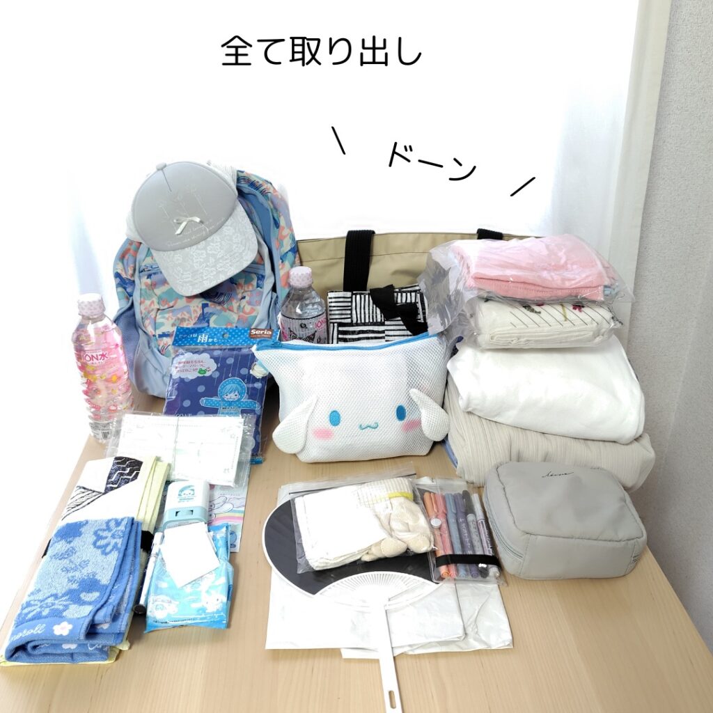 荷物を全部広げた様子