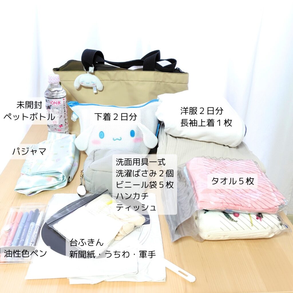 大きいカバンの中身一覧